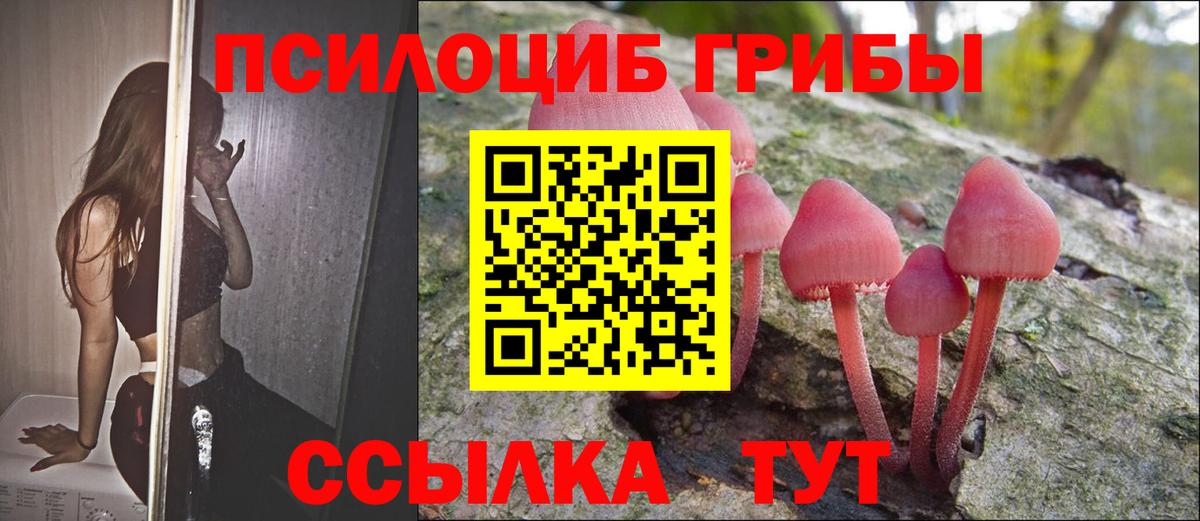 Галлюциногенные грибы мицелий  Вход с VPN  Псилоцибиновые грибы GOLDEN TEACHER  Заводоуковск 