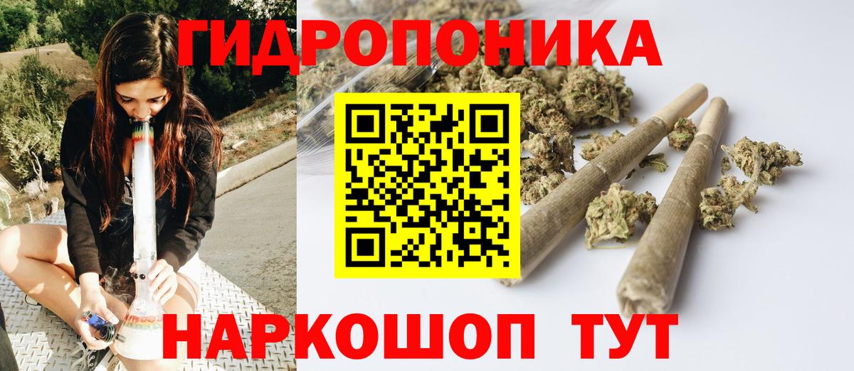 Конопля SATIVA & INDICA  МАРИХУАНА планчик  Бошки марихуана сатива  Заводоуковск  Вход с VPN 